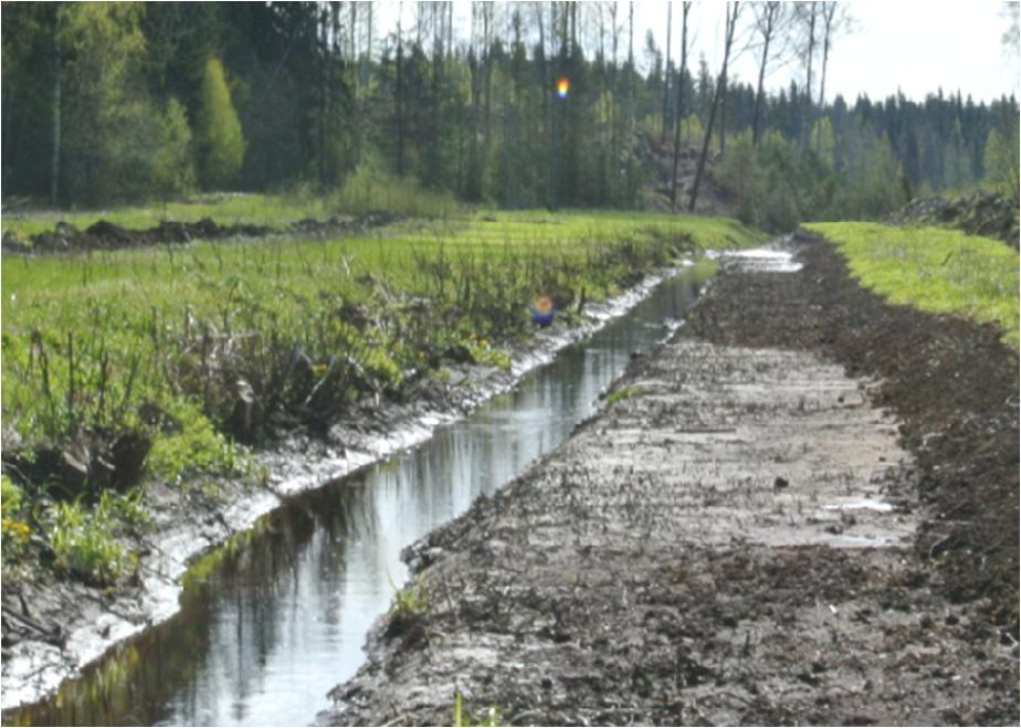 Kalteville ja eroosioherkille paikoille ojien pohjalle voidaan tehdä esimerkiksi kivistä tai puusta pohjapatoja. Niitä voi olla useita peräkkäin, jolloin puhutaan pohjapatosarjasta.