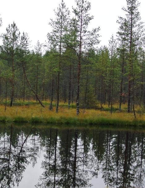 Ojitetuilla alueilla on kiinnitettävä huomiota alueen muuttuneisuuteen.
