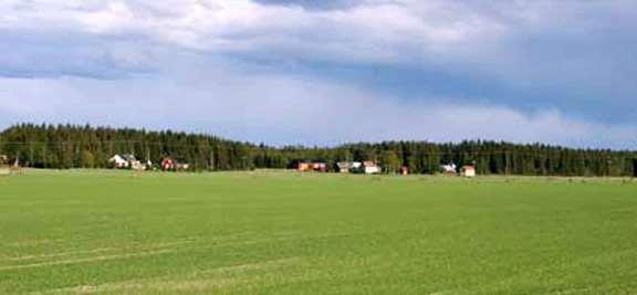 3.2.4 Maisemakuva Lännestä katsottuna Ahonkylän ympäristö piirtyy kauniina silhuettina peltojen yllä.