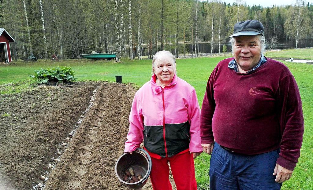 Pätkätyöt varastonhoitajana ja lähihoitajana jäivät, kun Laura laittoi hakemuksen vakituiseen lähihoitajan työhön Rautavaaralle. Kutsu työhön tuli ja nyt on alkamassa kolmas kesä rautavaaralaisina.