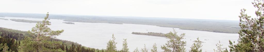 Paljakan alueen kehittämisen yksi osa-alue on kunnanvaltuuston kokouksessa nro 6/18.11.2013 :ssä 78 hyväksymä Hiekkahäikän ranta-asemakaavan muutoksen 23.9.