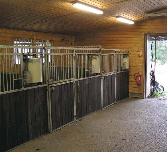 Taulukko 19. Sähkönkulutus valaistukseen kyselyn lapoloissa.