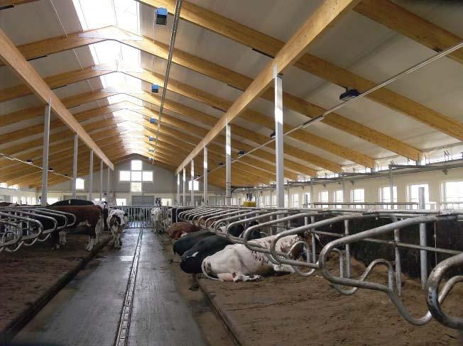Valaisinten puhdistainen Kyselyn ukaan 74 % vastaajista puhdistaa navetan valaisiet vain tarvittaessa. Vastaajista 14 % iloitti puhdistavansa valaisiet kerran vuodessa.