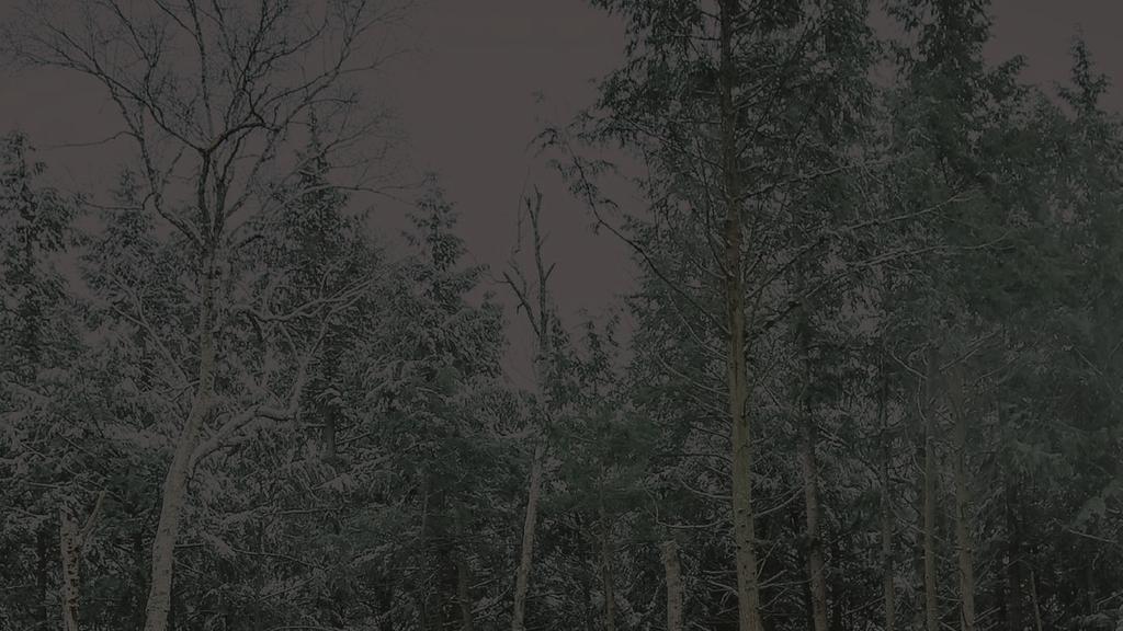 PONSSEN VARAOSATARJONTA PONSSE ALKUPERÄISOSAT Alkuperäistä laatua ja luotettavuutta Paras varastosaatavuus PONSSE METSÄKONE- TARVIKKEET Metsäkoneyrittäjän päivittäisessä työssä tarvitsemat tuotteet