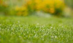 Kaunis nurmikko Huippuluokan leikkuutulos myös suurilla tai erittäin haastavilla nurmialueilla. SensorCut-järjestelmä Tasainen lopputulos, nurmikkoon ei jää uria.
