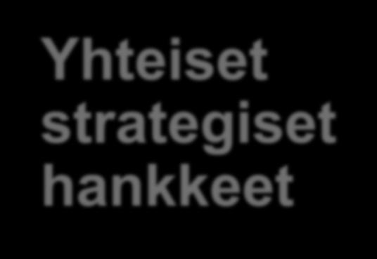 hankkeet Mitä