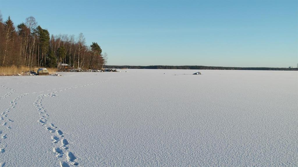 Kiinteistön 50-406-13-49 loma-asuntorakennus.
