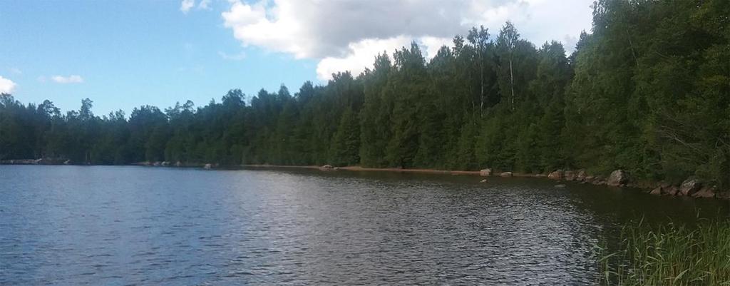 Suunnittelualueen maasto kohoaa pohjoiseen ollen korkeimmillaan n. 50 mmp. Jyrkintä ranta-alue on tilan 50-406-2-750 kohdalla. Suunnittelualueen ja ympäristön topografia. (Lähde: www.