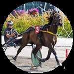 vihjeet Lauri Hyvönen TERVETULOA LAPPEESEEN! MAANANTAINA.. KLO 1 MAGIC MONDAY-RAVEIHIN Aikataulu: 1. Lähtö klo 1.1 Jyväskylä 1. Lähtö klo 1.00 Lappeenranta 1. Toto/MM lähtö klo 1.