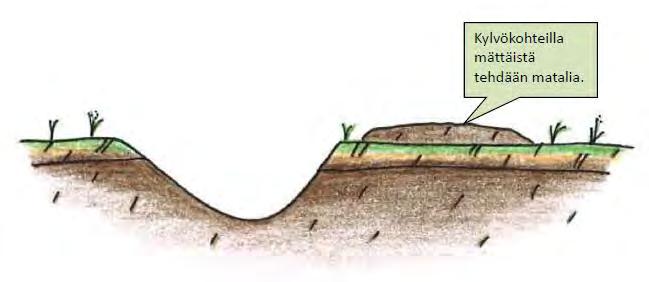 Metsänviljely kylväen