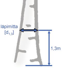 Termejä ja käsitteitä