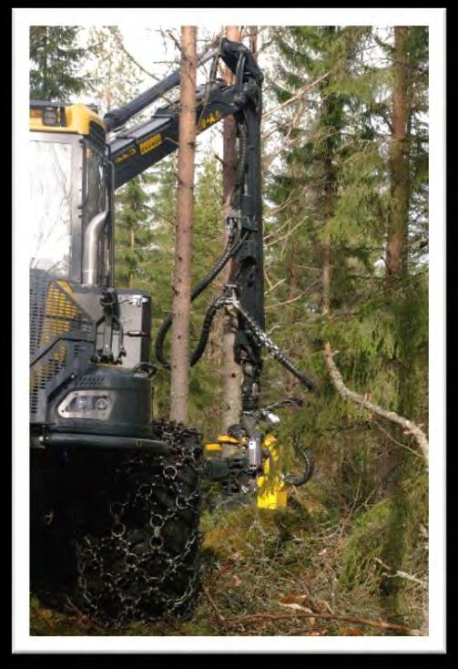 Pystykauppa vai hankintakauppa? Pystykauppa Pystykaupassa luovutetaan metsänhakkuuoikeus puunostajalle.