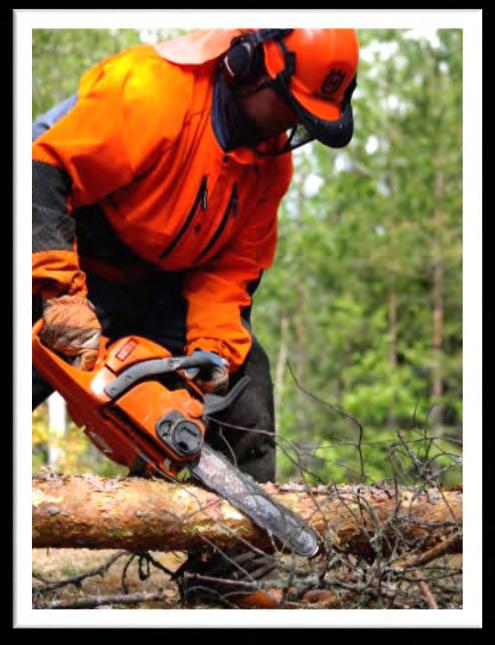 Ostajan kanssa solmitaan hakkuusopimus ja metsänomistajalle maksetaan puusta kantohintaa.