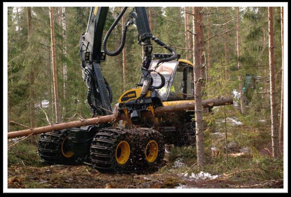 Metsänhakkuusopimus Puun määrä, hinta, mittausmenetelmä, maksuaikataulu ja muut puukaupan ehdot kirjataan metsänhakkuusopimukseen.