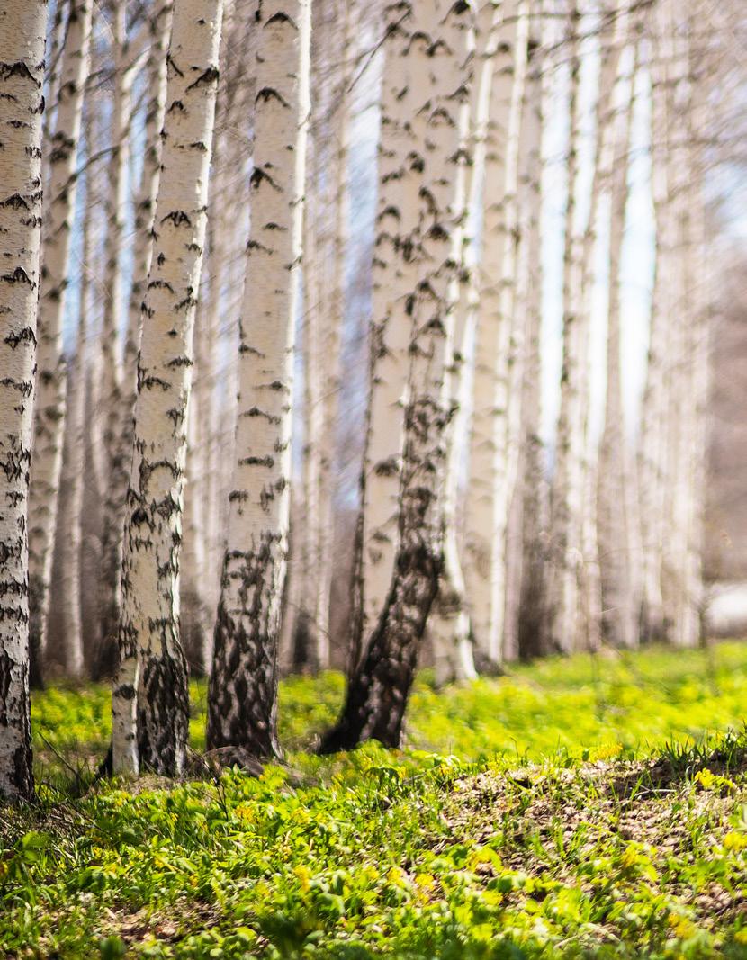 Suolistosairauksien laaja kirjo Yhä yleisempien suolistosairauksien,