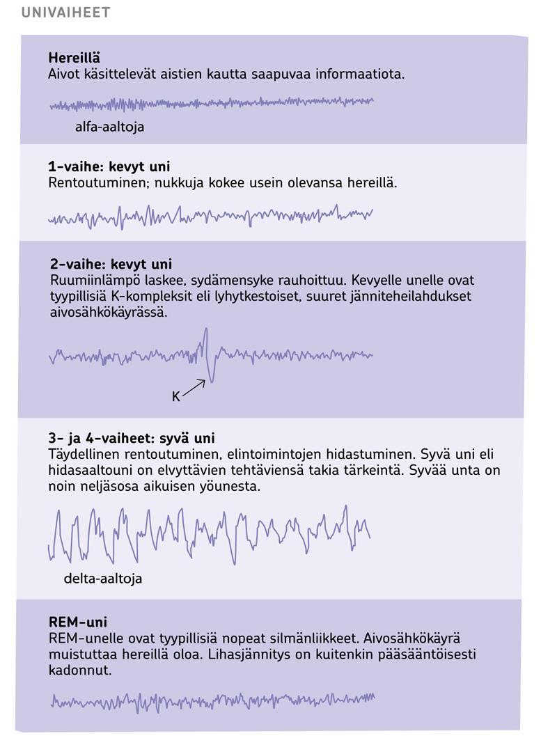 tiettyihin univaiheisiin tarpeeksi pitkäksi aikaa.
