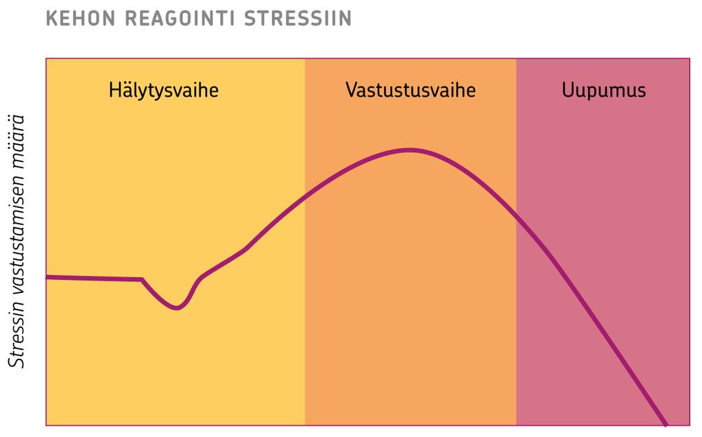 Elimistö reagoi stressiin kolmen vaiheen kautta: 1.