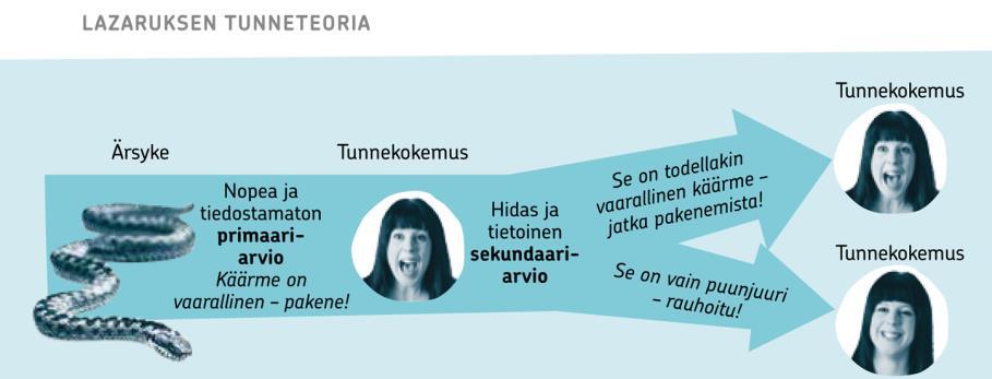 sääteleviä aivorakenteita: mantelitumake, hippokampus, hypotalamus ja pihtipoimu.