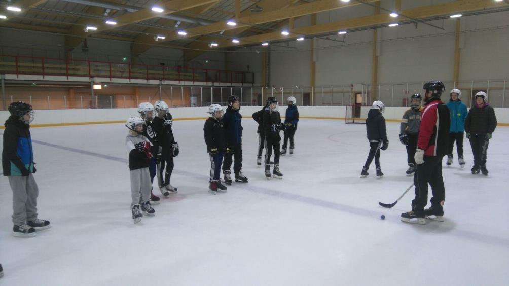 Riihimäen koulussa järjestetty lajiesittely 15.2.2017 Aikuisten kaukalopallotoiminta Liitto oli aktiivisesti mukana eri järjestöjen järjestämissä kaukalopallo tapahtumissa ja turnauksissa.