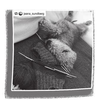 sähköpostilla. Samoin jos et jostain syystä halua koirasi osallistuvan kilpailuun. bedlingtonkerho@gmail.com VUODEN NELJÄS JA VIIMEINEN Bedlington -tiedote on käsissäsi.