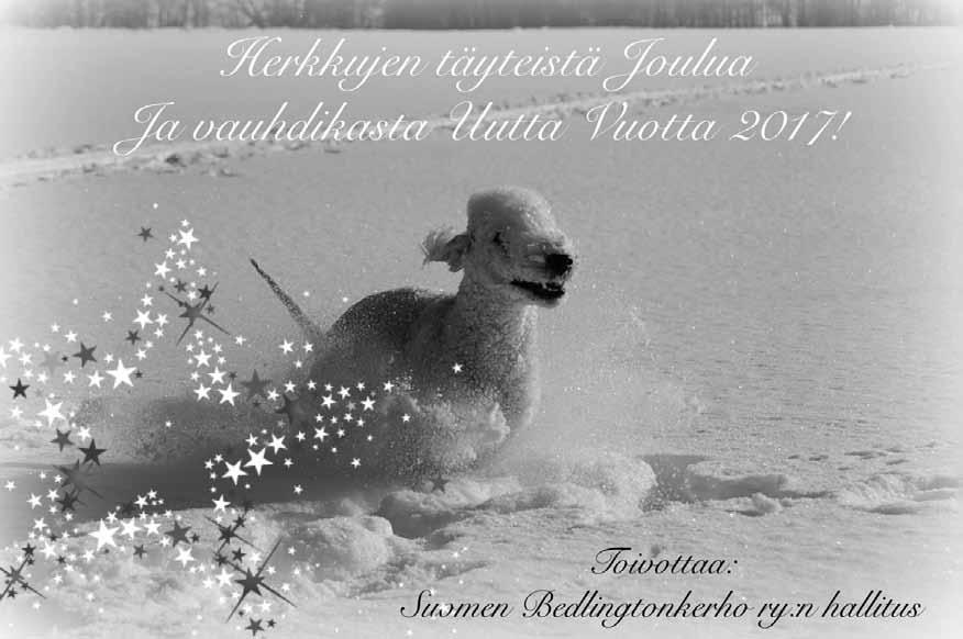 ..VAL-EH NACHTWOLKEN STURM UND DRANG...VAL-H NACHTWOLKEN TEMPTATION WAITS...VAL-H vet... TANZARA IVONETTE...VET-EH... VEK1 TANZARA ODETTA...VET-H SEAMETAX BOURBON DAISY...VET-H UROKSET.