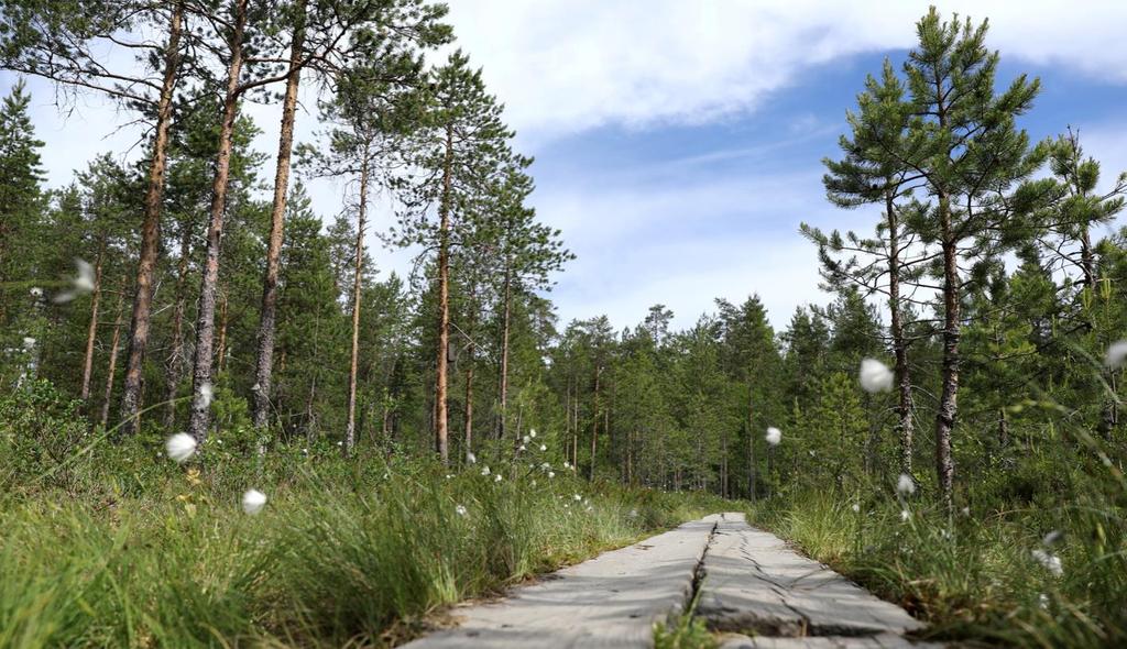 havaitsemiaan ongelmia (vaihtoehdot ohessa).