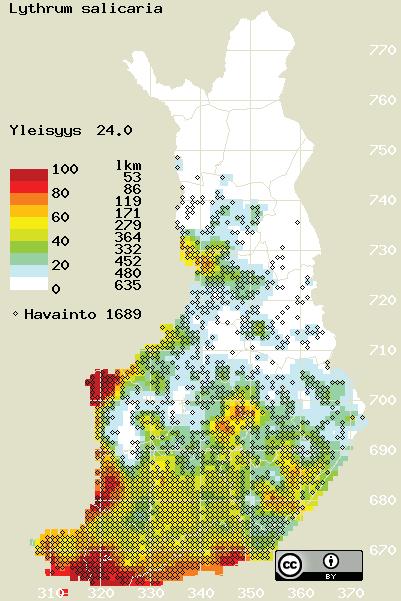 ihovaurioita. Sitä on hyödynnetty myös ravintona. Rantakukan versot ovat erittäin rikas fenoliyhdisteiden lähde verrattuna moneen muuhun kasviin.