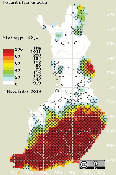 Valokuva: Marika Laurila.