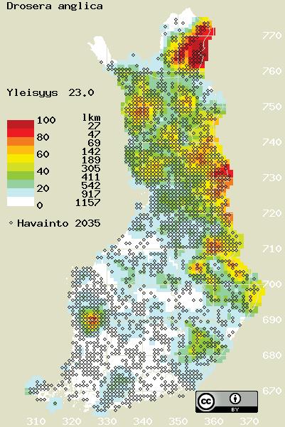 Suoympäristöjen vähentymisen myötä kihokit ovat harvinaistuneet suuresti monissa