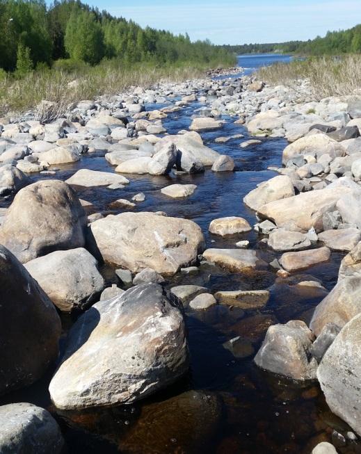 Kuva 2. Vasemmalla Uiskarikosken kalatie vähällä vesityksellä ja oikealla Puodinkosken kalatie.