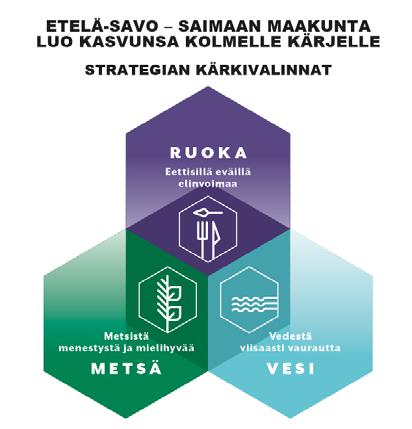 Kun kiinnitämme huomiota toimintaan ja sen näkymiin, on tämä koosteessa vuodesta 2017 paljon hyvää kerrottavaa. Muutamia nostoja: Neljä uutta vastuututkijaa.