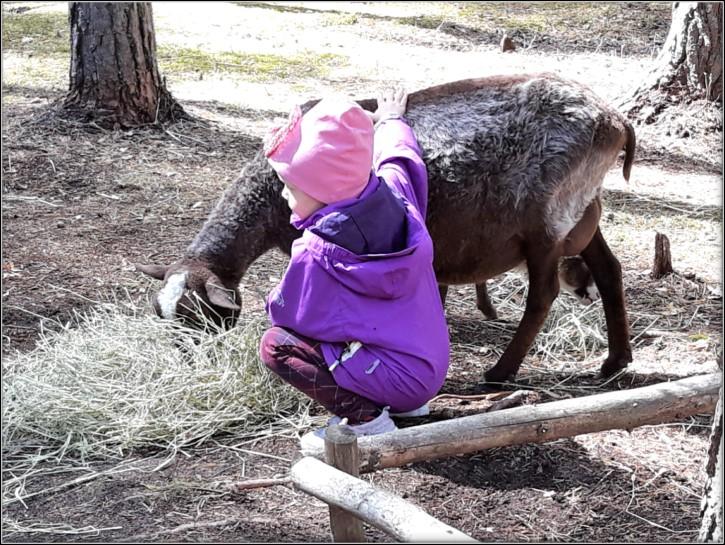 Retki Tykkimäelle Kesällä