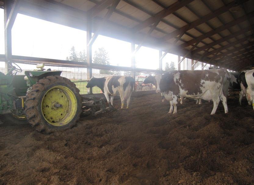 Tilakäyntikohteet Maidontuottajien matka Wisconsiniin 4-11 10. 2012 Zanderin tila, Barneveld Jerry Zanderin tilalla on noin 150 lehmää ja 230 hehtaaria peltoa.