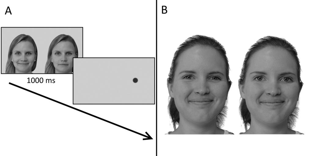ALEKSI H. SYRJÄMÄKI, PESSI LYYRA & JARI K. HIETANEN KUVA 2. Eräässä kokeessa (DeWall, Maner & Rouby, 2009) tutkittaville esitettiin ostrakismimanipulaation jälkeen kasvoärsykkeitä.