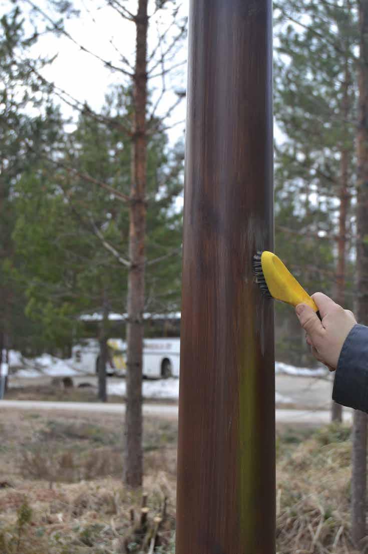 PUUPYLVÄÄN UUDELLEENKÄSITTELY Uudelleenkäsittely tulee suorittaa, mikäli alkuperäistä suositeltua huolto-ohjeistusta ei ole noudatettu.