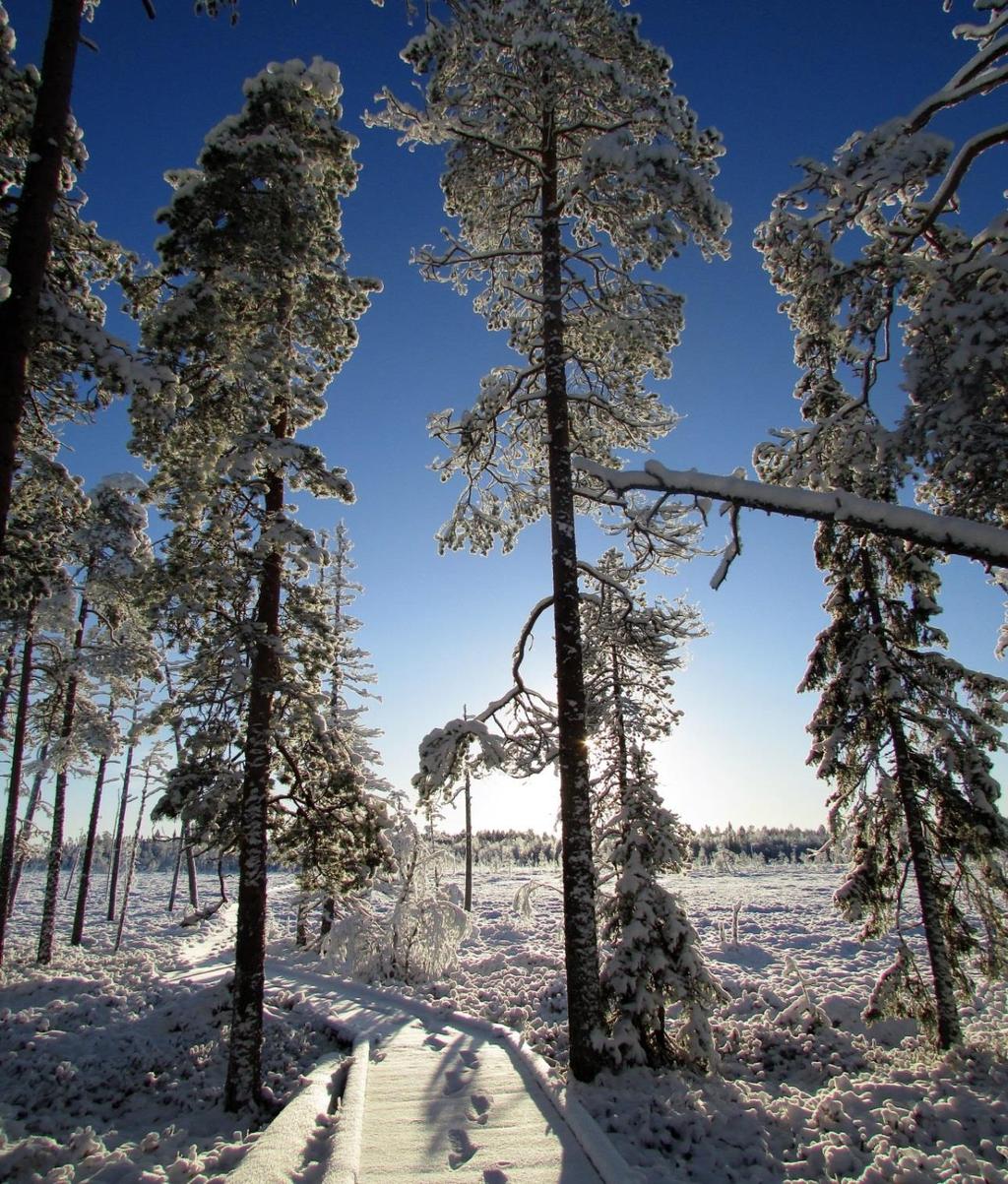 2020 Hyväksytty