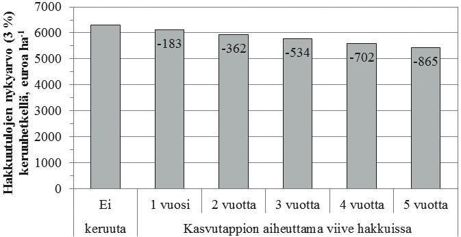 3.4 Laskelmat kerkkien keruun taloudesta Keruukokeilta saatujen tulosten perusteella tehtiin laskelmia kerkkien keruutyön kannattavuudesta sekä keruun aiheuttaman kasvutappion taloudellisesta arvosta.