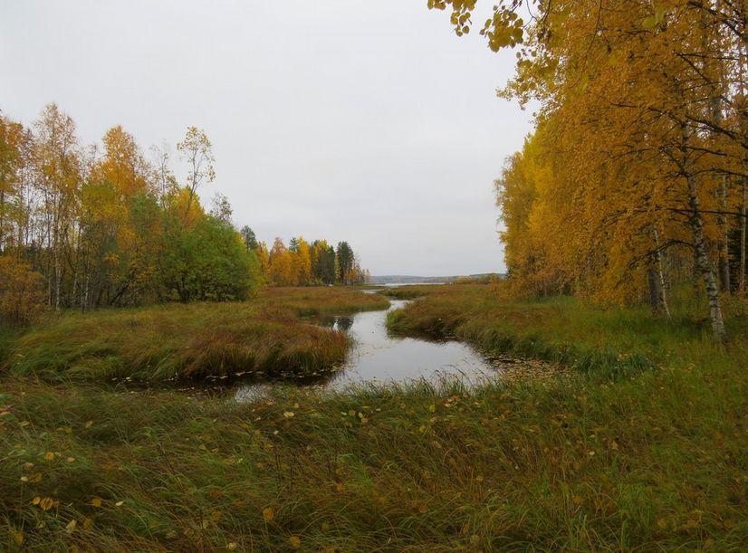 Entinen puron tai joen (Matinoja)