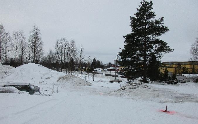 Kirkonseudun osayleiskaavan yhteydessä vuonna 2012 laaditun luontoselvityksen (Luontopalvelu Kraakku, Marika Vahekoski) mukaan suunnittelualueella ei ole erityisiä luonnonarvoja.