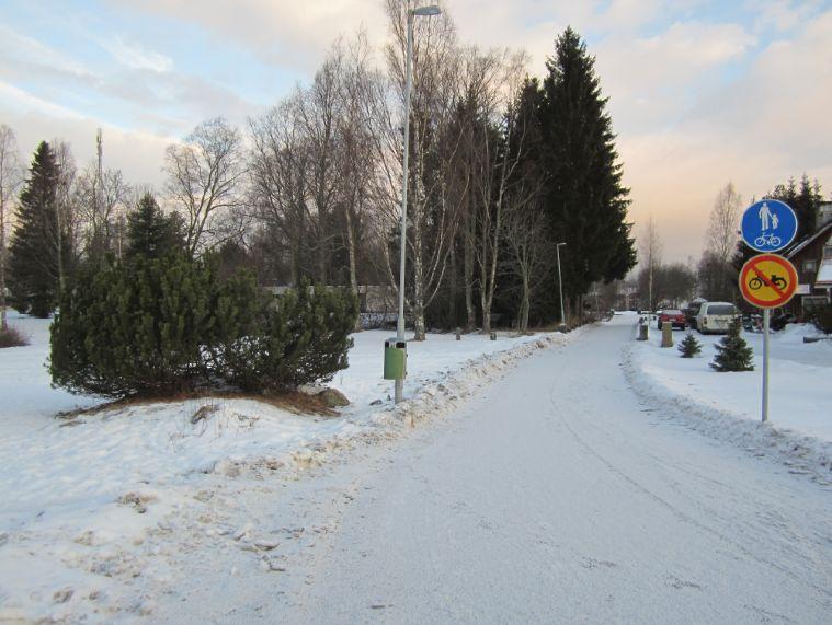 Napuenpuisto. 3.2.