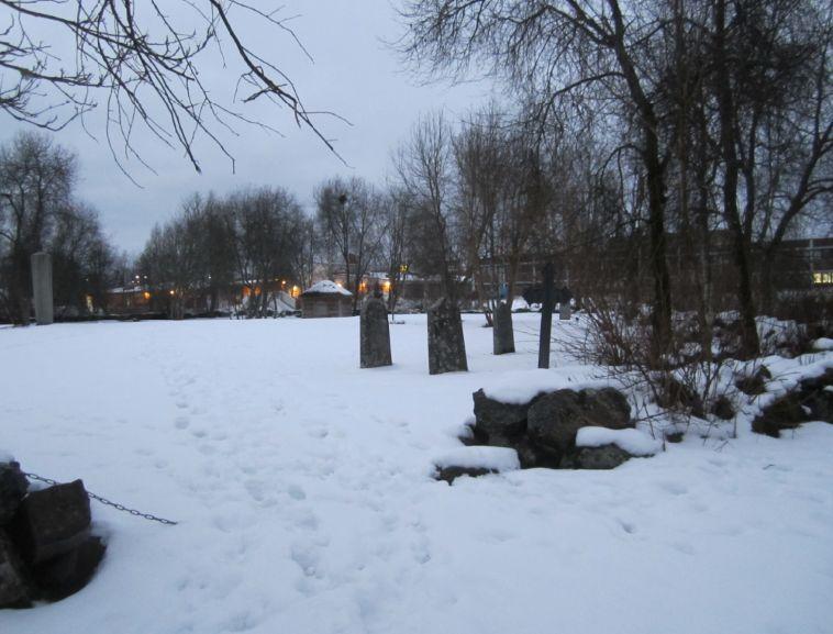 Luontokartoituksen mukaan alueella ei ole erityisiä luonnonarvoja.