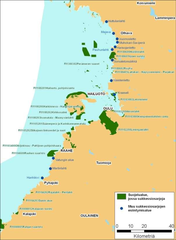 Alueet, joissa esiintyy rannikon primäärisukkessiovaiheen metsien kehityssarjoja tai osia kehityssarjoista.
