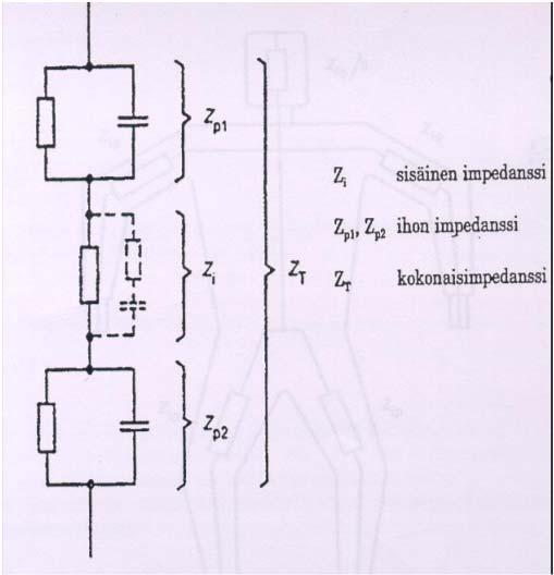 Ihmiskehon impedanssi Sähkövirran vaarallisuus riippuu pääasiassa kehon läpi kulkevan sähkövirran suuruudesta ja