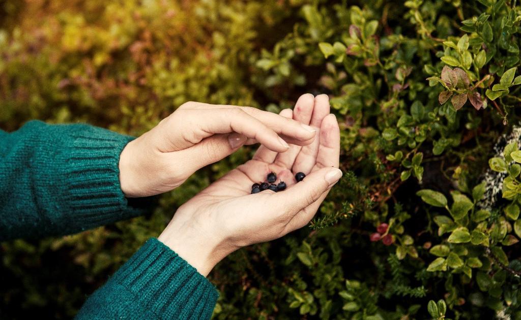 Kohteissa, joissa matkailun vetovoima ja matkailutuotteet perustuvat luontoon ja sen tarjoamiin mahdollisuuksiin, luonnon suojelu ja kulutuksen hillitseminen ovat erityisen tärkeitä asioita.
