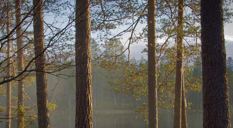 Alkusanat Tässä oppaassa keskitytään matkailun kehittämisen taloudelliseen, kulttuuriseen, sosiaaliseen ja ekologiseen kestävyyteen Land of National Parks -alueella; Syötteen, Hossan, Oulangan,