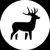 Karttanäkymässä muut lähellä olevat kiinnostavat kohteet näkyvät harmaina.