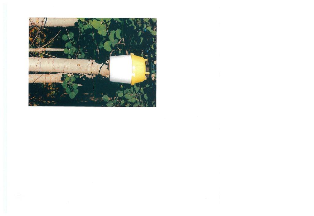 Värirysinä käytettiin Russel-yhfiön tekemiä feromonirysiä Englannista (Kuva 8a ja rysän profillikuva on kuva 8b), joissa vuonna 1995 oli lisähoukuttimena erityyppisiä feromoneja.
