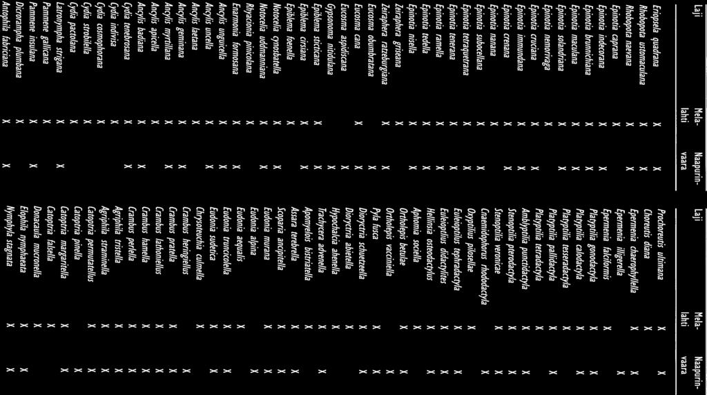 LIITE 3/4 Laji Mela- Naapurinlahti vaara Eriopsela quadrana Rhobopota ustomaculana Rhobopota naevana Epinotia caprana Epinotia indecorana Epinotia brunnichiana Epinotia maculana Epinotia solandriana