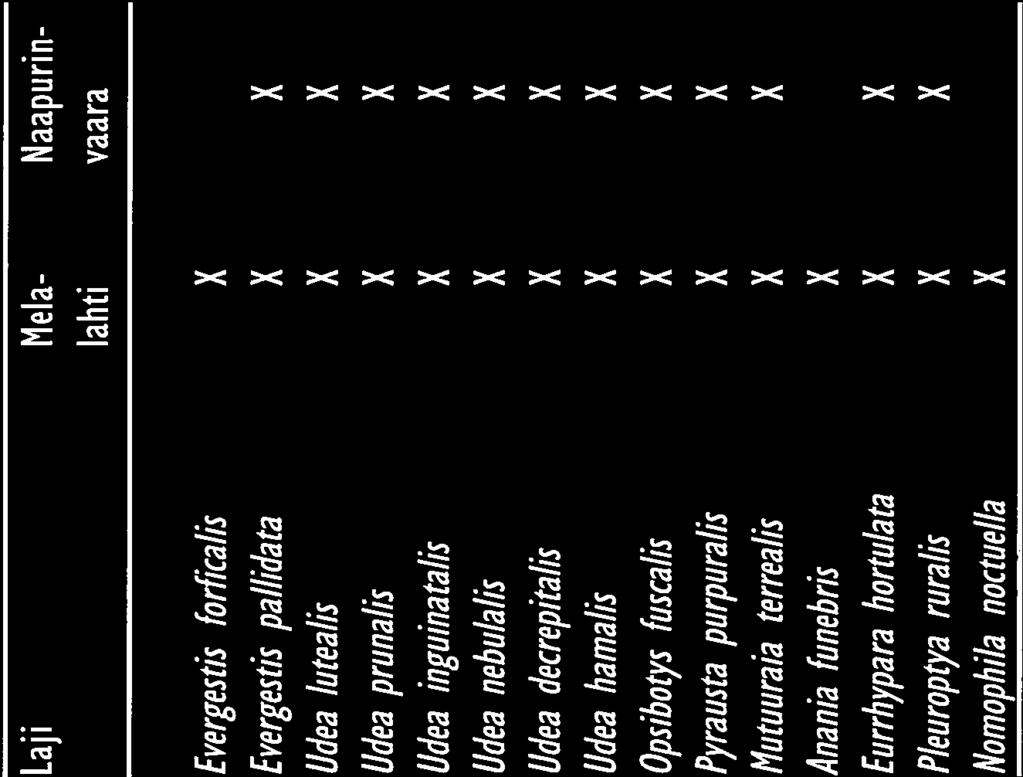 LIITE 3/5 Laji Mela- Naapurinlahti vaara Evergestis forficalis Evergestis paiidata 1 Udea lutealis 1 Udea prunalis Udea inguinatalis Udea nebulalis 1 Udea decrepitalis 1