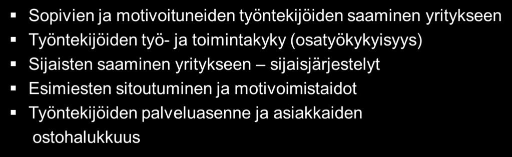 Mallin vahvuudet ja riskit